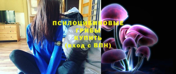 винт Алзамай