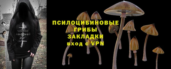 винт Алзамай